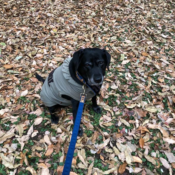 8fc245d6 5d41 4799 b692 bfd7e9509a10 1606201605569