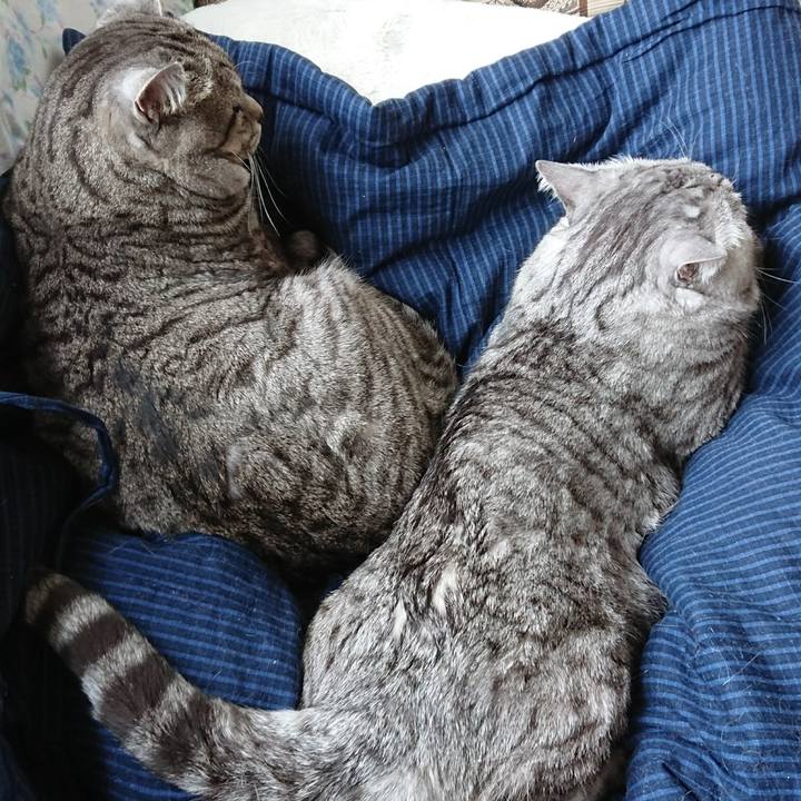 8fc25de4 795a 4ebe ae94 65c51994c200 1518077552118