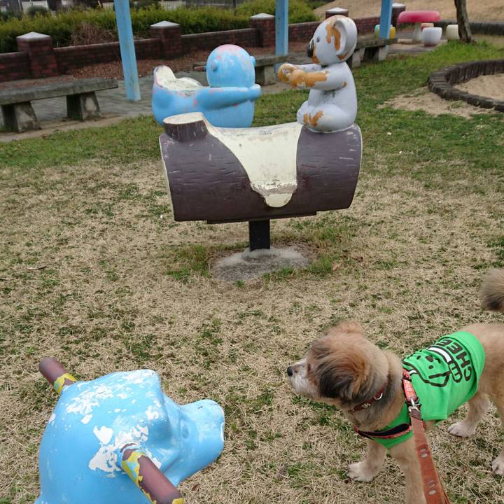 8fc2cd4c f152 4f4b 9296 5d2773398317 1519890975842