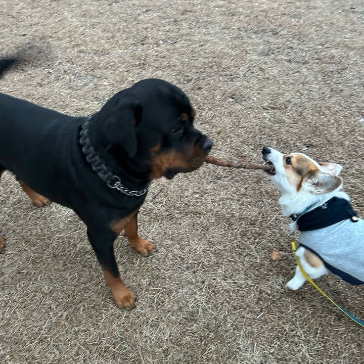 8fc2e998 c205 4e6a adcc 580960d1e73b 1768217913909