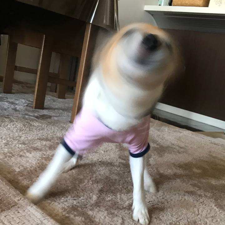 8fc308f1 2c3e 48a7 8189 08afdac0ec6f 1528852715870