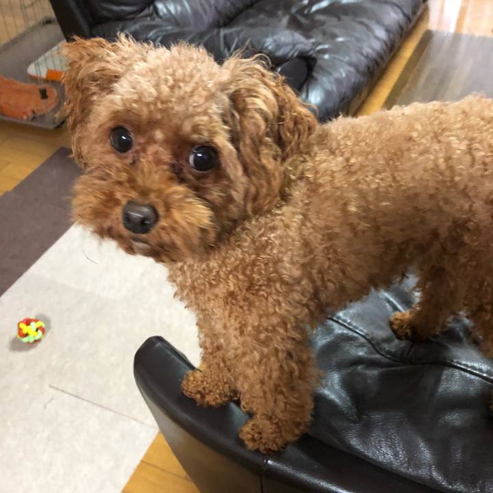 8fc31999 3c29 432d aa33 9af85a80b68b 1536793841850