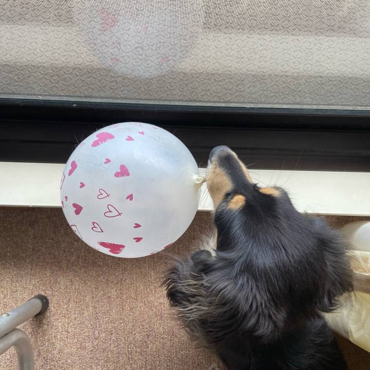 8fc32af9 da65 4afb 993f a61dbe56853a 1692678155885