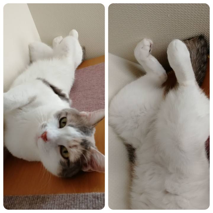 8fc32ebe b8e0 4104 8af6 6baf9a422327 1589273992239