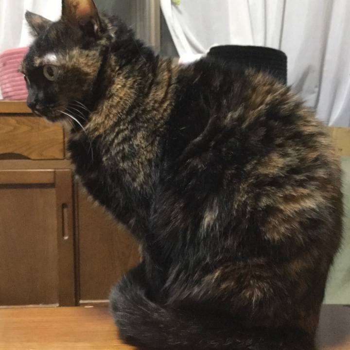 8fc341f0 61b7 4bad 9d08 15f9c9032c1d 1554208596324