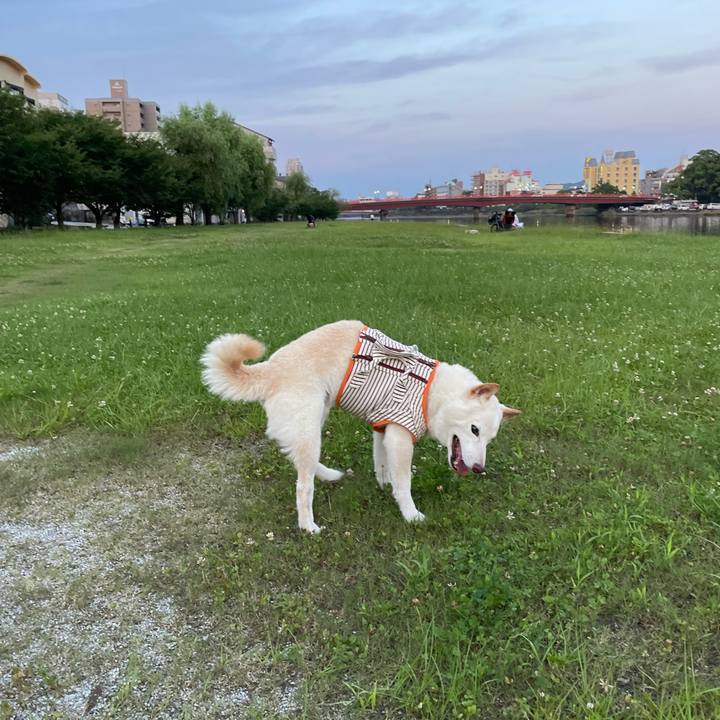 8fc38e64 7112 45ac be47 dd4e3841bbd9 1658328865646