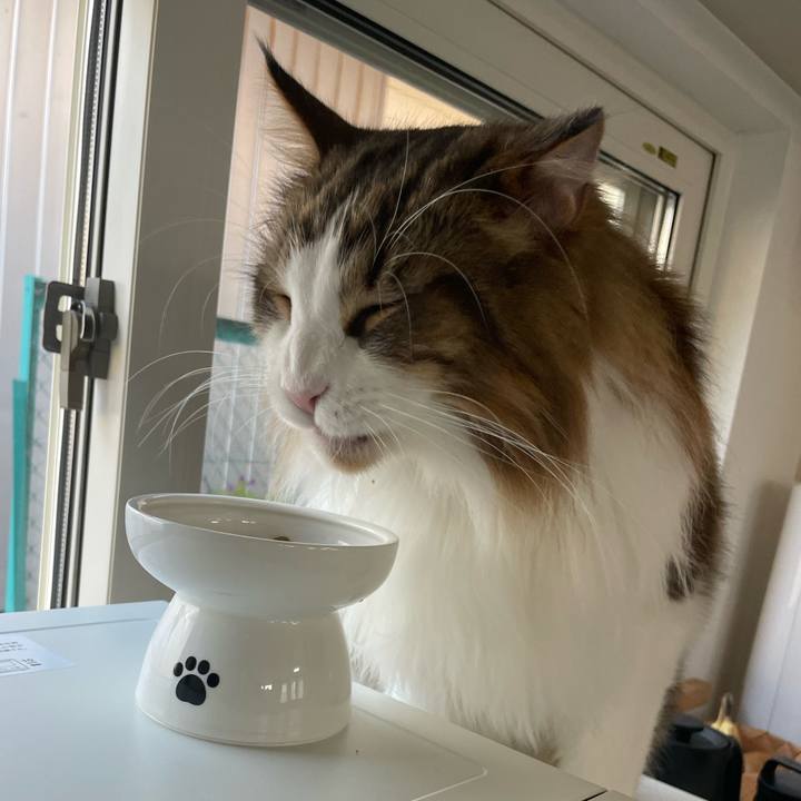 8fc3d49a 8cff 4ed3 9ae4 f0973dff4e7a 1696369281743