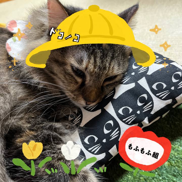 8fc416b0 0265 4f44 becf 3c42aafcd801 1712740986643