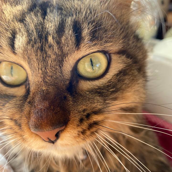 8fc43ccd 70f7 4608 b471 1a1d089ed4a5 1704341599527