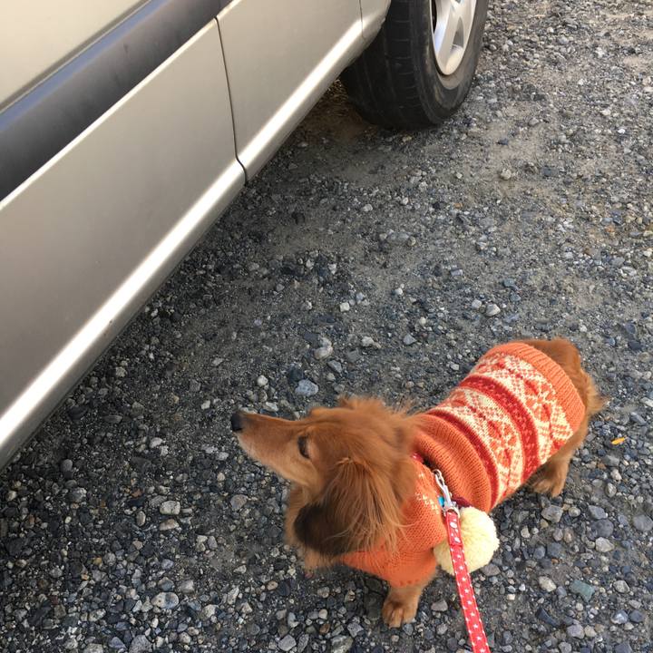 8fc4538f 8122 430e 933a 79e80899f986 1518942698739