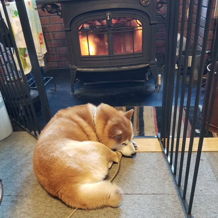 8fc465f5 2a25 4dea afaa 2731af9c2be5 1641081548760