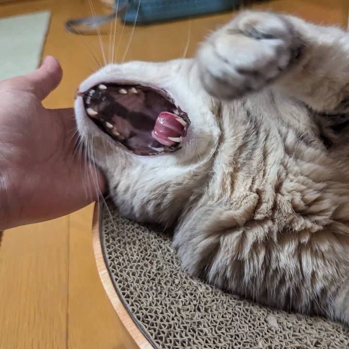 8fc46b26 ab40 4fab a666 30f6ecdb3eef 1693887354966