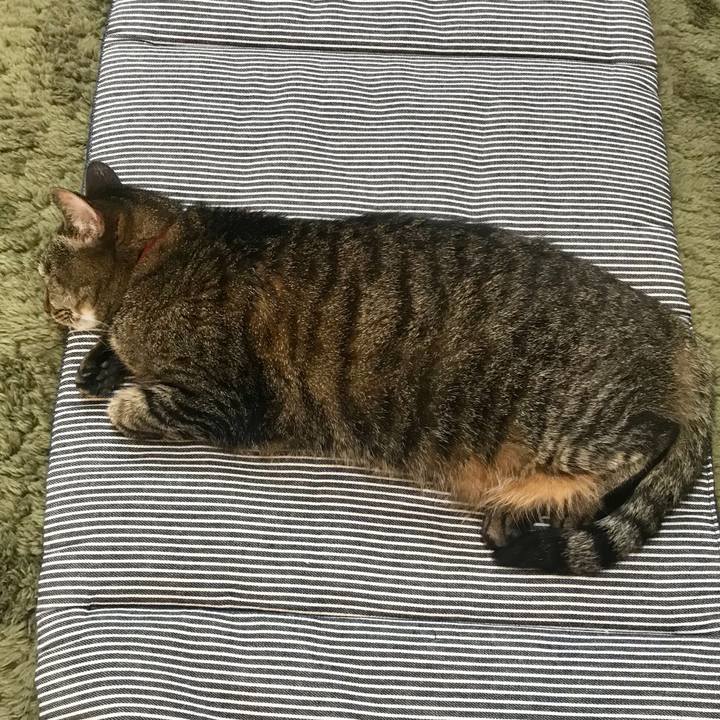 8fc473a7 13b3 4289 8613 a42ff2235038 1621078732169