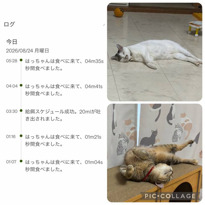 8fc4a581 817a 4f2e b3ff 61187df115ba 1787531218245