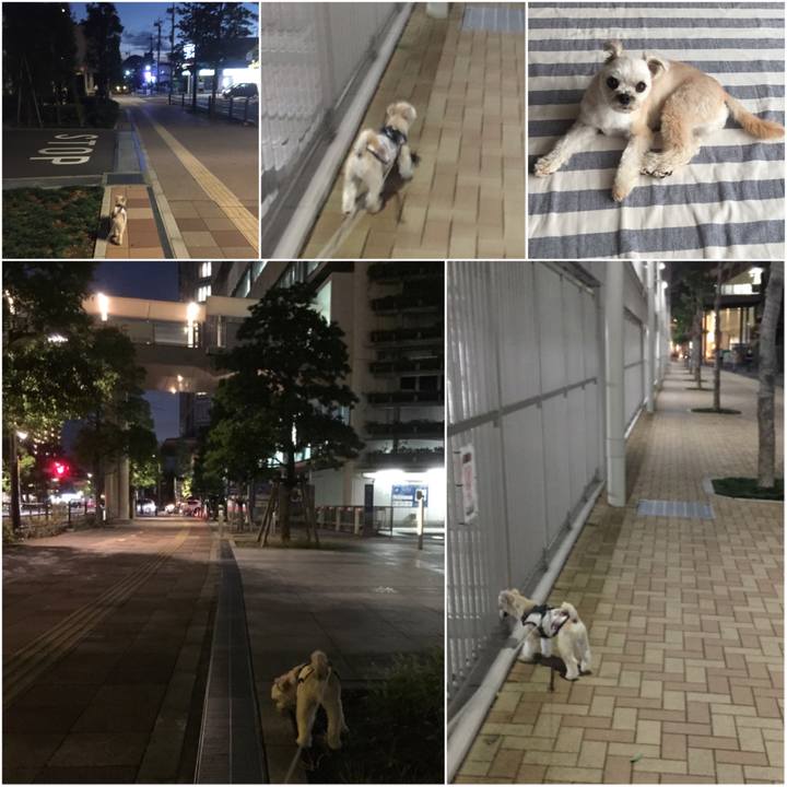 8fc4c476 298b 41d7 9ca0 15e927bec6b3 1565696234998