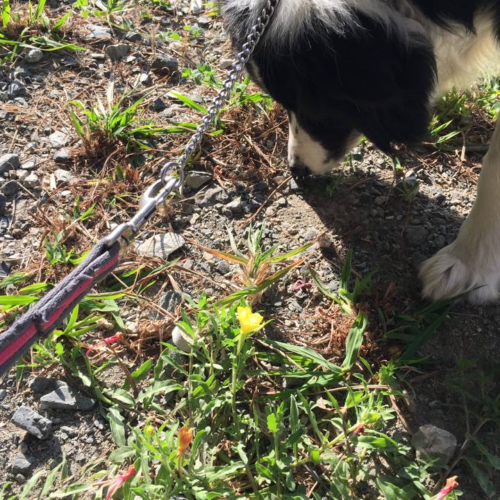 8fc4c688 0c82 4126 af84 7b31e32ff679 1555029376852