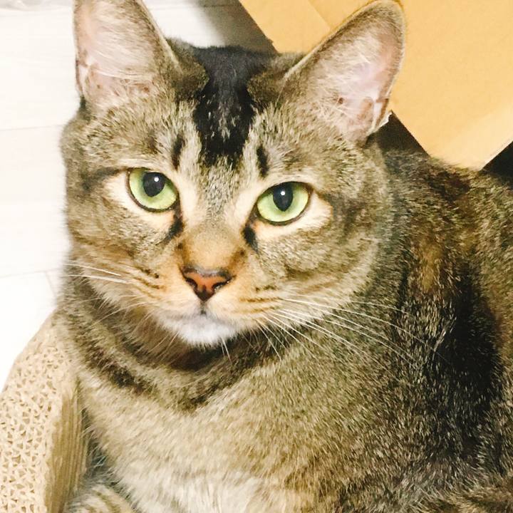 8fc4d19b 09dd 40d0 9701 68d8b5273764 1540400372600