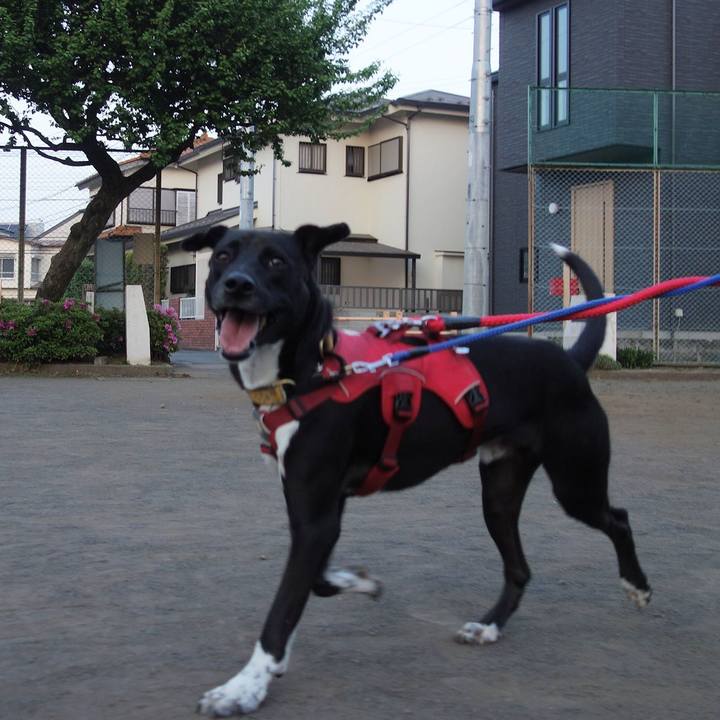 8fc4e733 c9ed 4d24 90c5 29615dfceea2 1588424016066