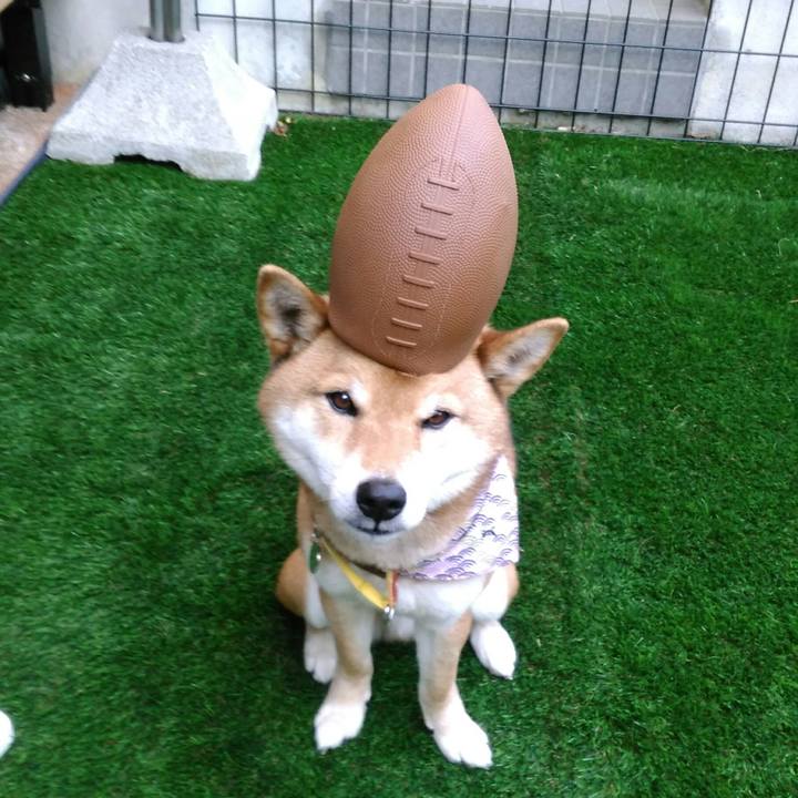 8fc4f107 5c7e 4eb9 aa6b 2c3998ca3be4 1521789256117