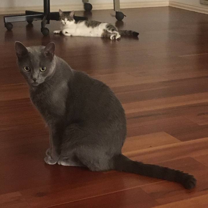 8fc526e5 9201 48c4 8e1a 4d43974baa17 1656715962692