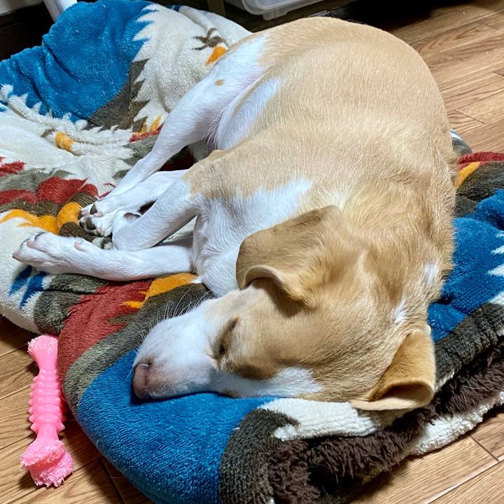 8fc52b6e cf32 48ae b710 e6ab95cf918a 1663039741450