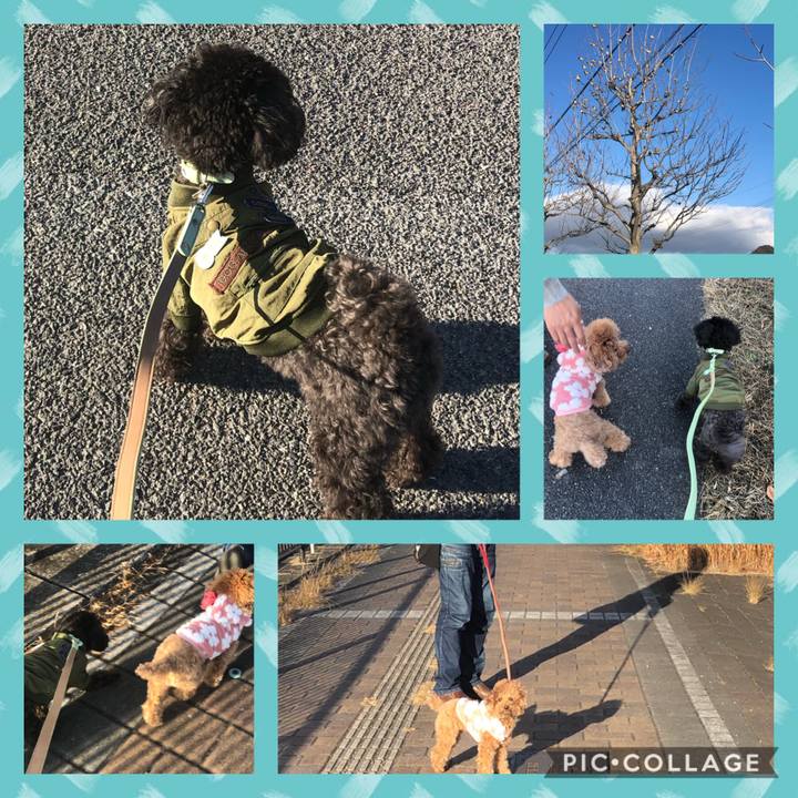 8fc54eed a4a8 4e2e 89e8 73e83c0c738b 1609046748693