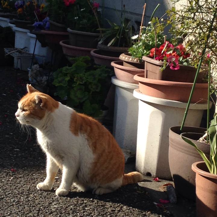 8fc58b6a 900a 48cb b7f3 4f14c239730c 1514265227713