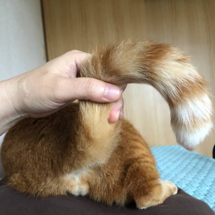 8fc5bfcb a10b 4bd8 9802 f919a70bdd6e 1658094027179