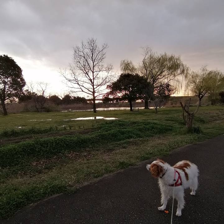 8fc5c506 a804 4d99 b05a 3696b2f214c3 1583916632853