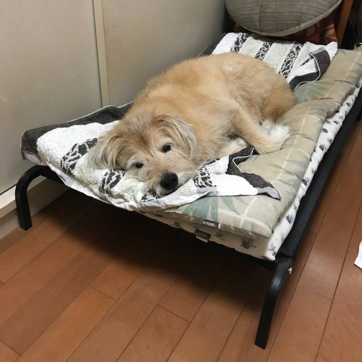 8fc5d26f fa49 4c00 862e cf20be1c8f1c 1602928284119