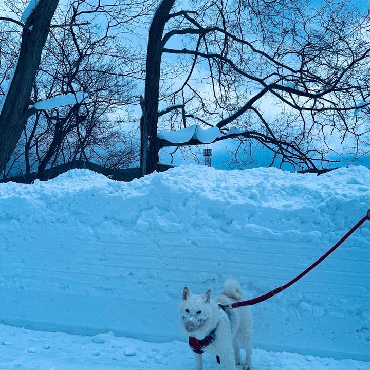 8fc605f2 712e 4c50 b6a0 8cf4bf369232 1769726306608