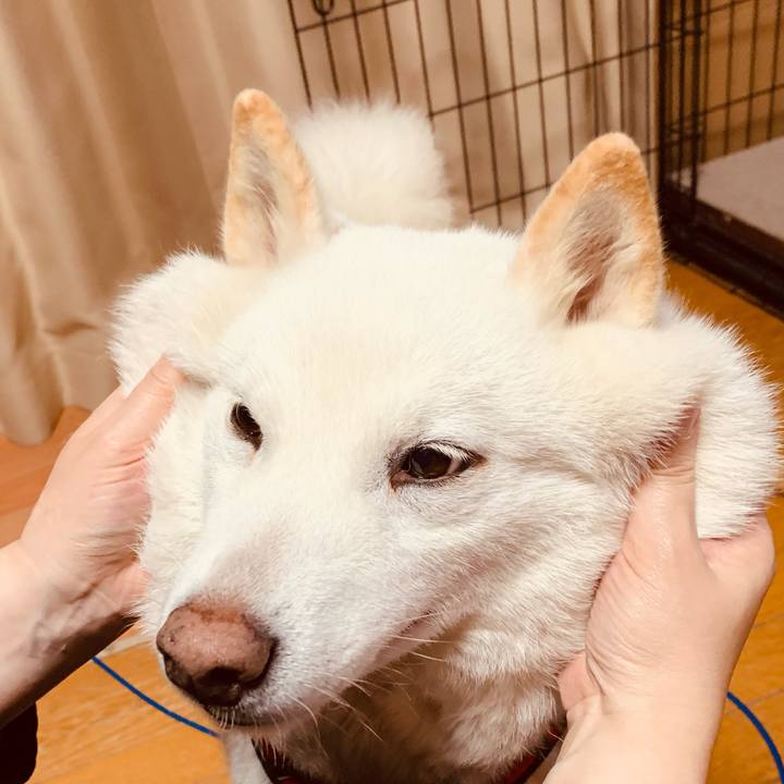 8fc61793 143b 47d4 882e 7da1a82e033f 1679956250754