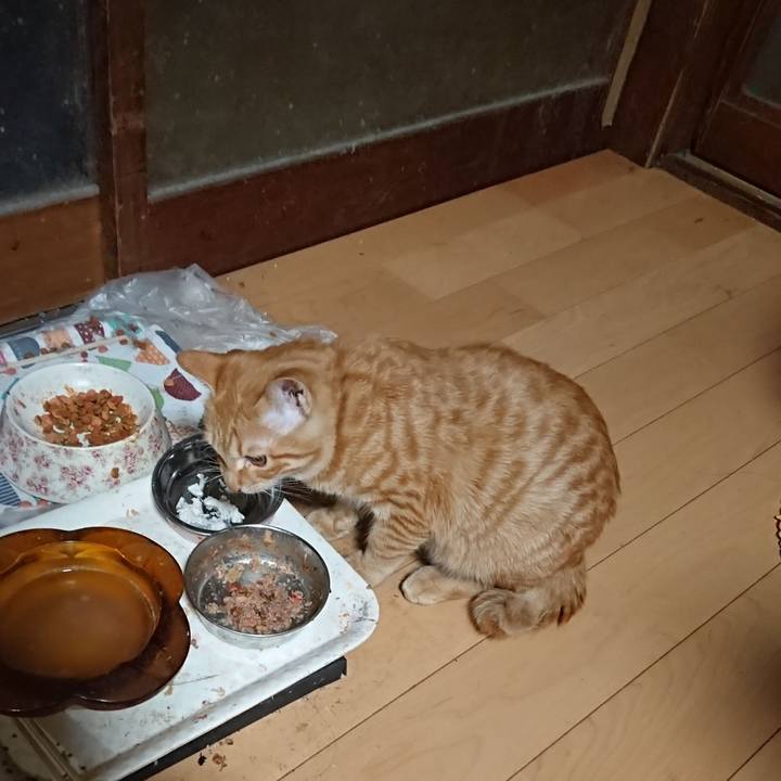 8fc685a0 7758 492d 9be9 4c38b9f5ef24 1637357231683