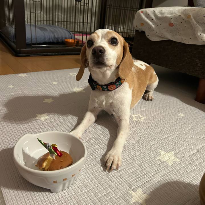 8fc69471 4722 4ba0 9078 fa1428f0d688 1735199035400