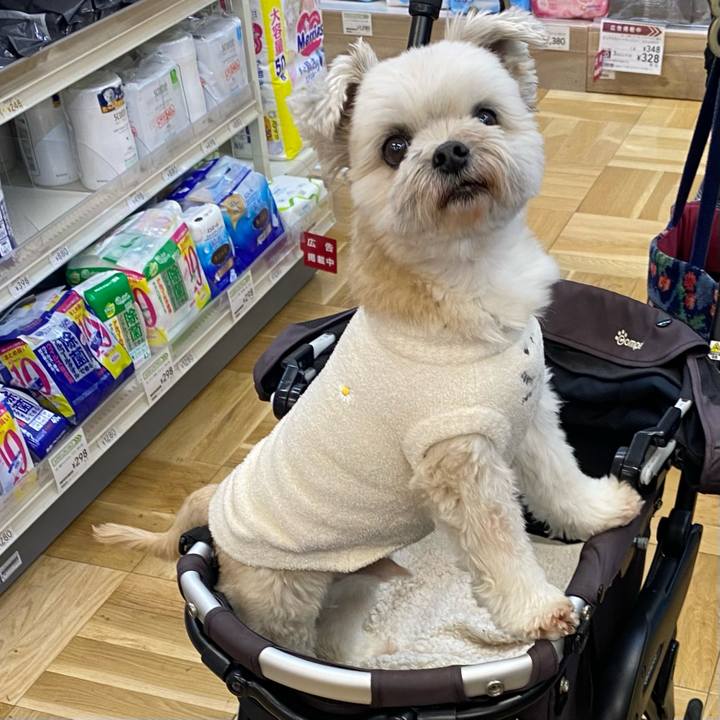 8fc6a7f1 e1e9 4d6e a9df de586268ac36 1708859118122