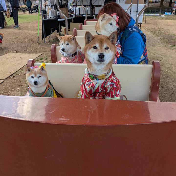 8fc6d39a 2b36 4e05 a626 19a3dd4e1898 1741618258159