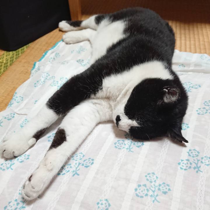 8fc7093e bd9e 4ba0 9b0f daa19a347e94 1622642854606