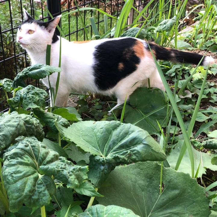 8fc71f9c afbe 434b b41b f02ae41c6d10 1605181723453