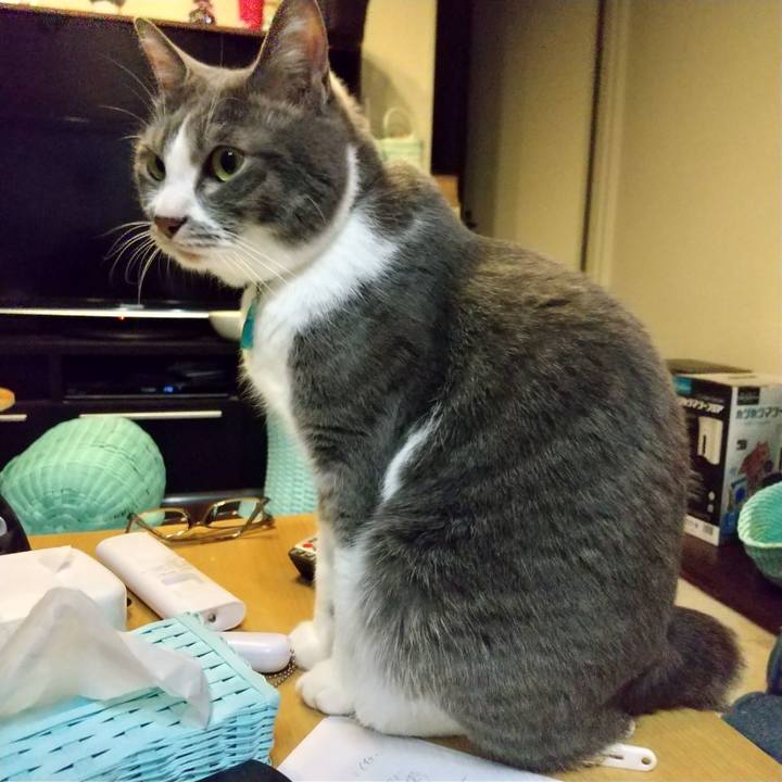 8fc72915 d5df 4bee b316 d2ee4f97b037 1651443606228