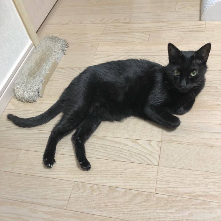 8fc76c51 713e 4f6a b0ec dda4806ddd30 1634738112532