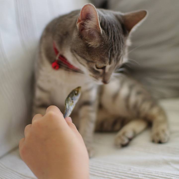 8fc7796e 9afd 46e0 8abf a51afba332b7 1533193550348