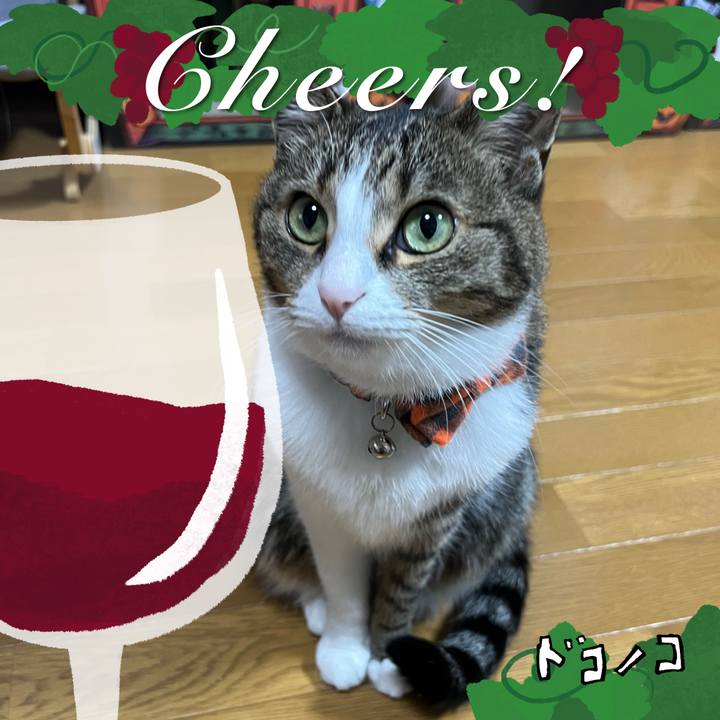 8fc77aa9 fd90 465f b684 cb4bdb7c9337 1763786479858