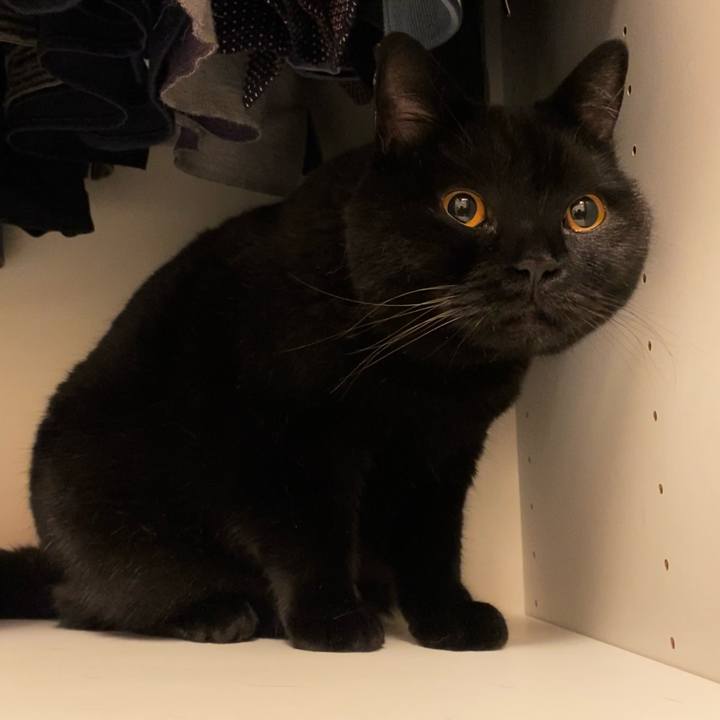 8fc78aa0 1b19 49e3 a30c b4c15811e728 1656073655044