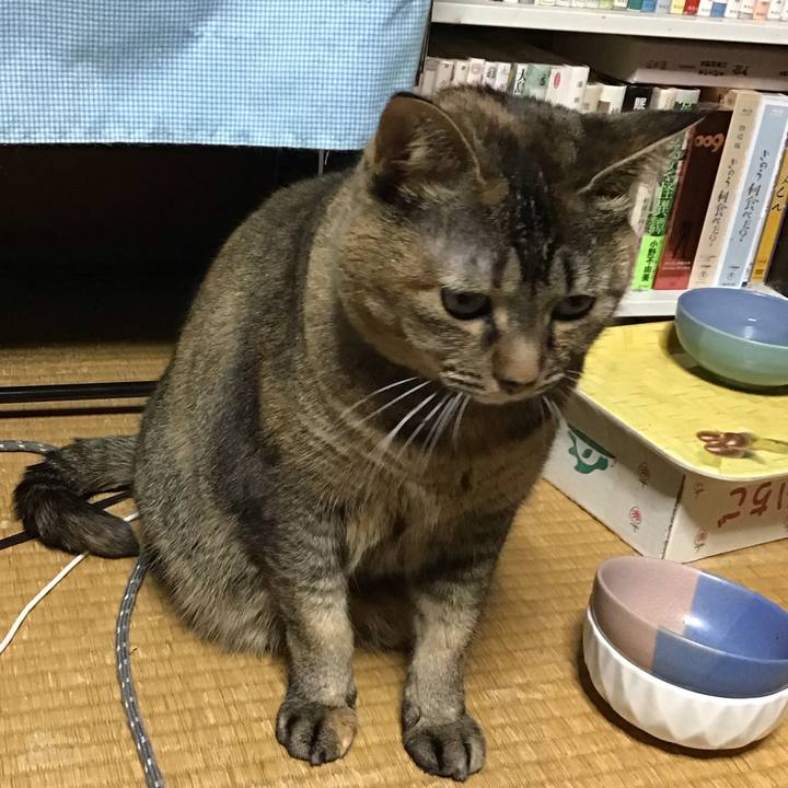 8fc7a4d8 81c1 42f2 b1c2 17a92bf96485 1705228681404