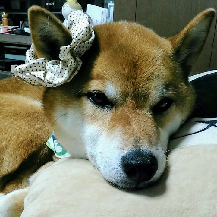 8fc7ac33 af33 457d 9d70 01543cf39c6e 1560002637149