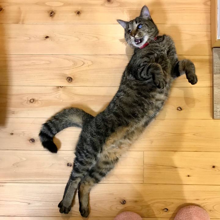 8fc7c0ed 62e0 4050 8bdc 16328bfe2d72 1570069256269