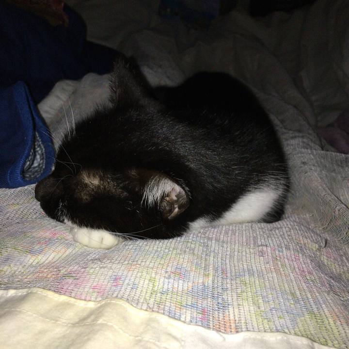 8fc7e103 21fa 43ab 909b 9866e6514d1b 1523738072733