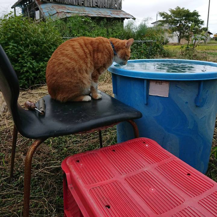 8fc7e3d5 4a3b 4d00 a8be ee24c51fa4a1 1601105639953