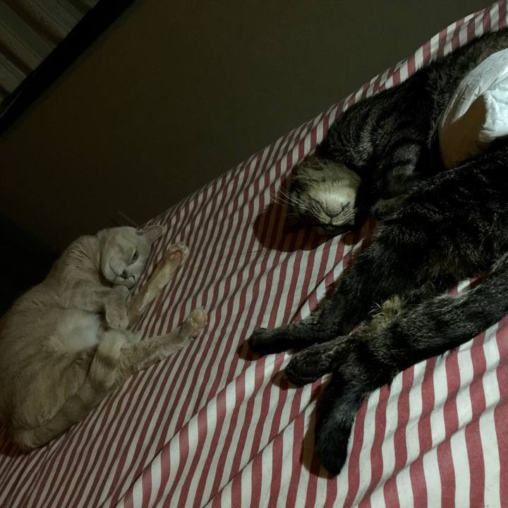 8fc7e98b 407d 46b7 82ad 3643cc93aeb4 1534533417078