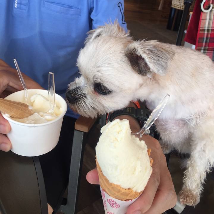 8fc7ec24 29ba 4517 9aa2 ccc3663ae0da 1534501691305